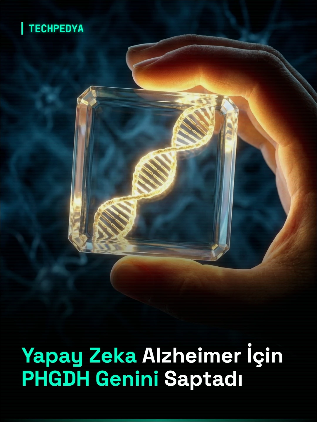 Yapay Zeka Alzheimer İçin PHGDH Genini Saptadı