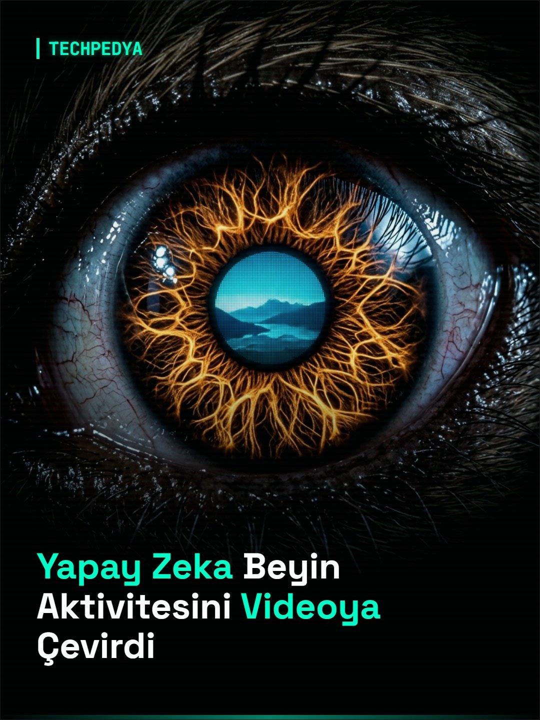 Yapay Zeka Beyin Aktivitesini Videoya Çevirdi