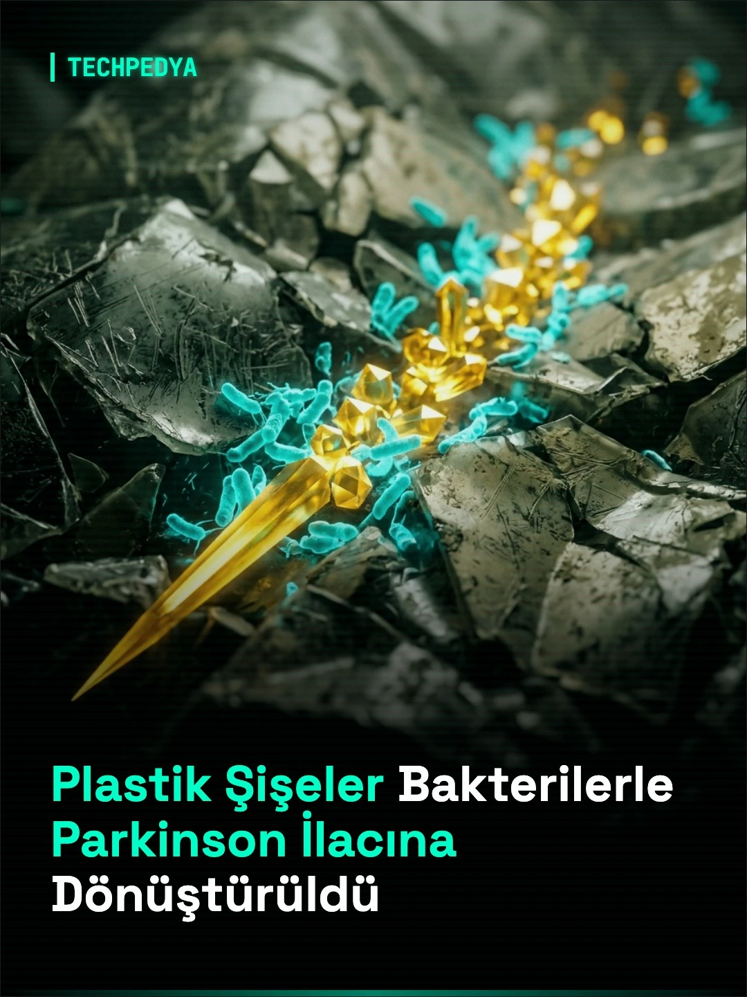 Plastik Şişeler Bakterilerle Parkinson İlacına Dönüştürüldü
