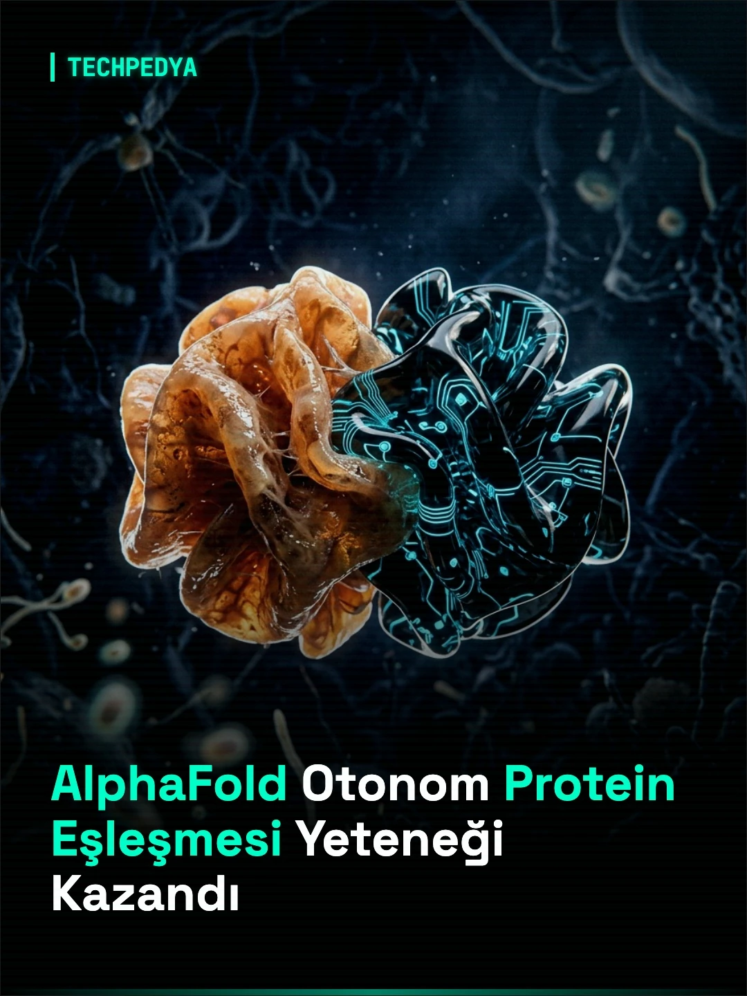 AlphaFold Otonom Protein Eşleşmesi Yeteneği Kazandı