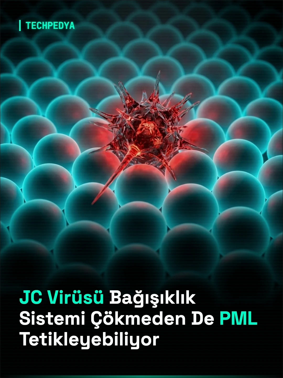JC Virüsü Bağışıklık Sistemi Çökmeden De PML Tetikleyebiliyor