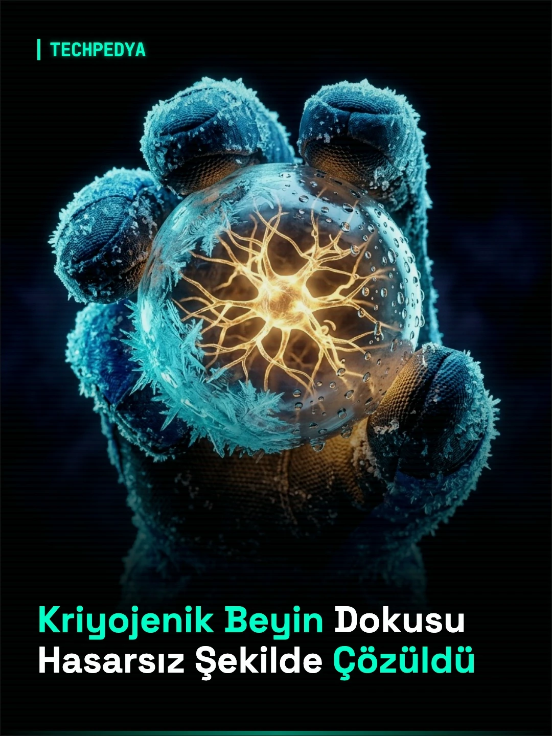 Kriyojenik Beyin Dokusu Hasarsız Şekilde Çözüldü