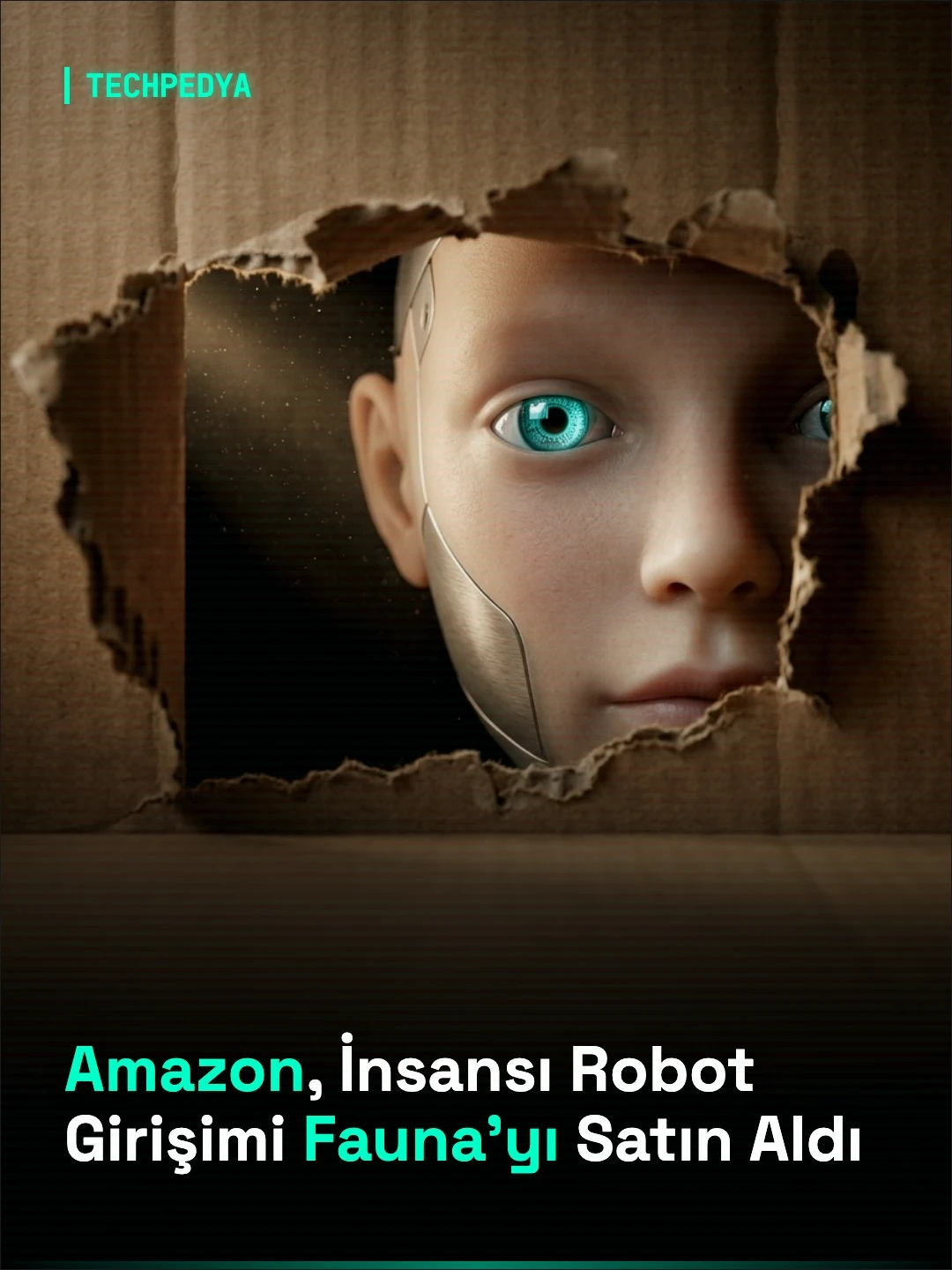 Amazon, İnsansı Robot Girişimi Fauna'yı Satın Aldı