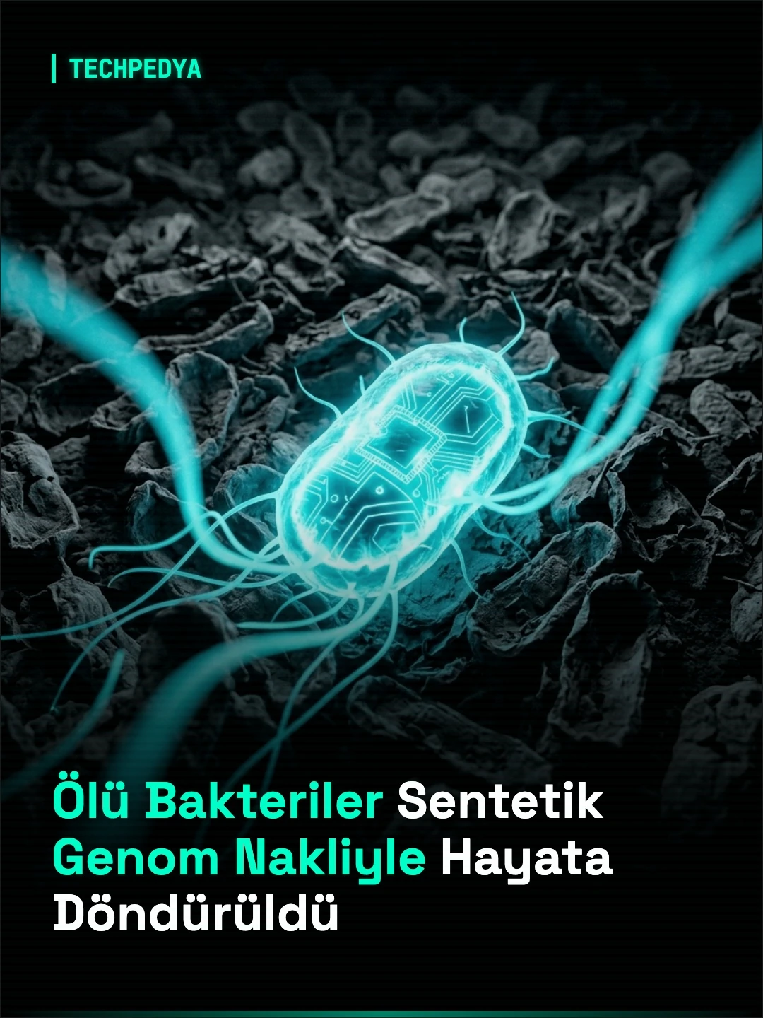 Ölü Bakteriler Sentetik Genom Nakliyle Hayata Döndürüldü