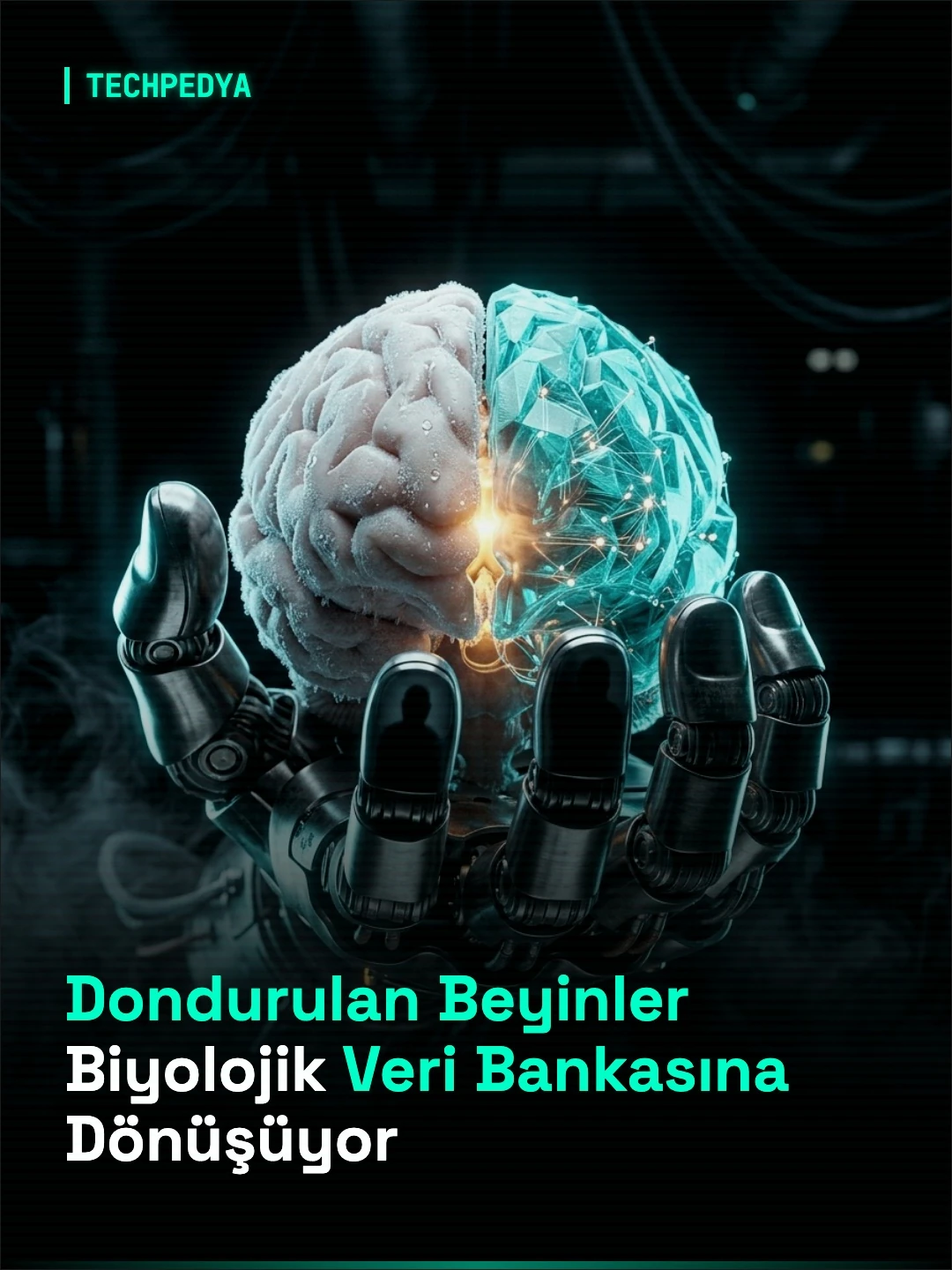 Dondurulan Beyinler Biyolojik Veri Bankasına Dönüşüyor