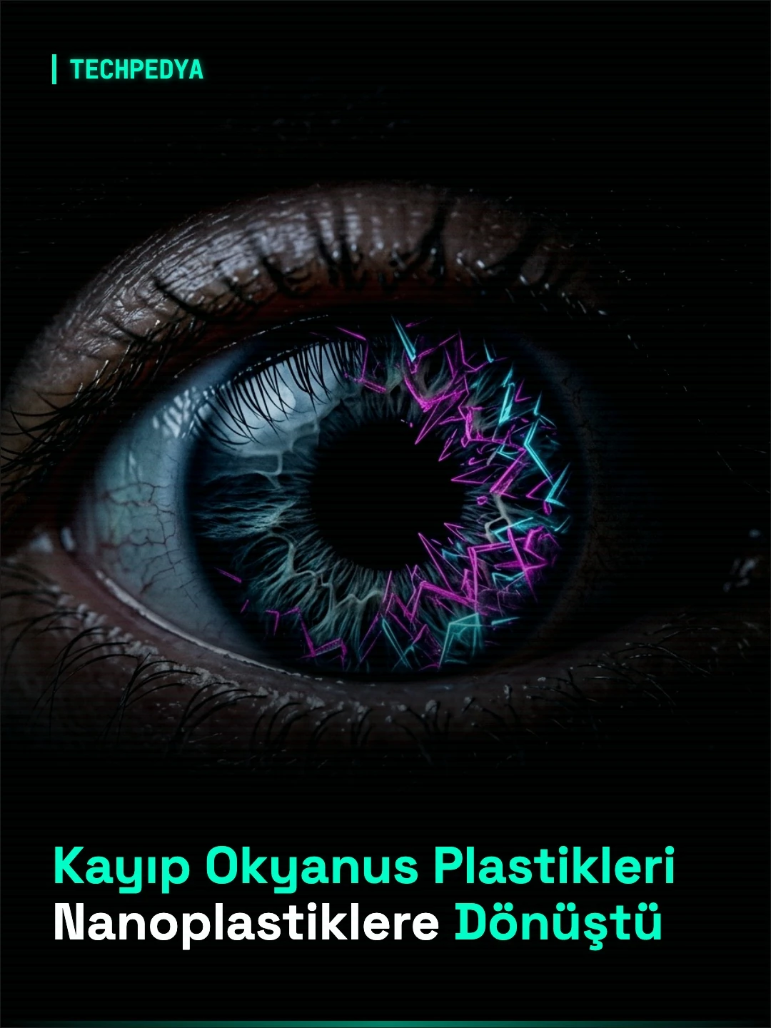 Kayıp Okyanus Plastikleri Nanoplastiklere Dönüştü