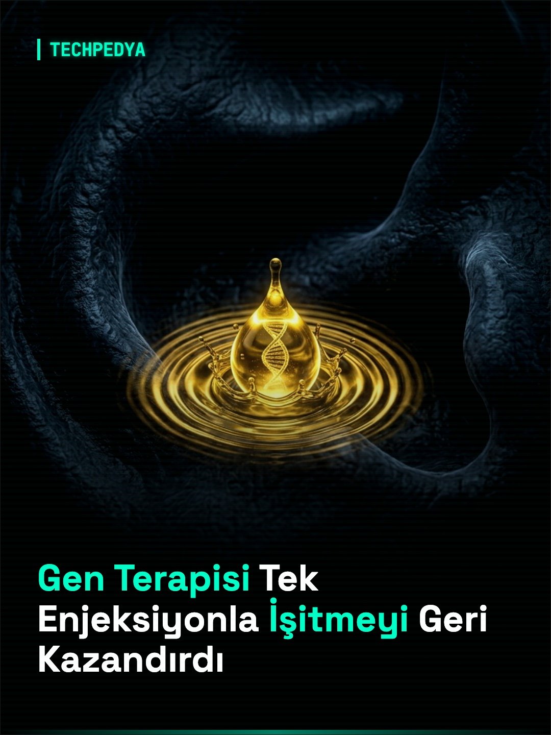Gen Terapisi Tek Enjeksiyonla İşitmeyi Geri Kazandırdı