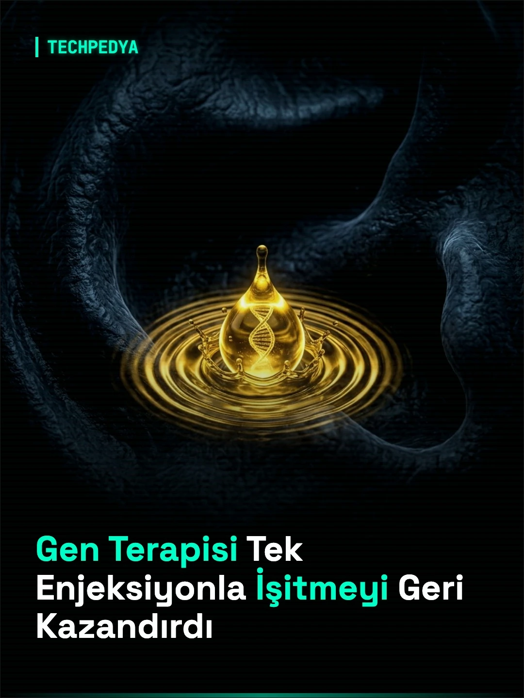 Gen Terapisi Tek Enjeksiyonla İşitmeyi Geri Kazandırdı