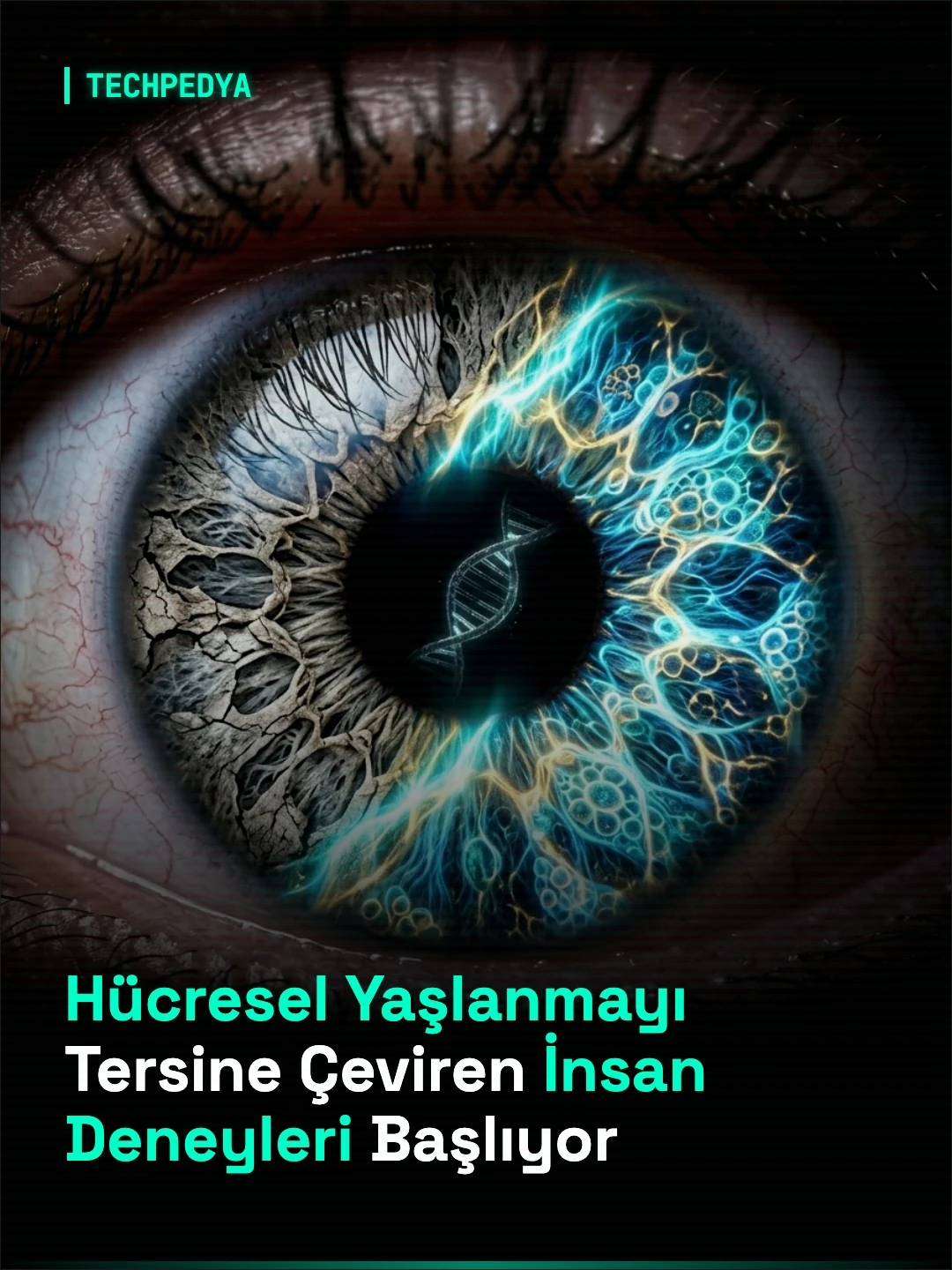 Hücresel Yaşlanmayı Tersine Çeviren İnsan Deneyleri Başlıyor