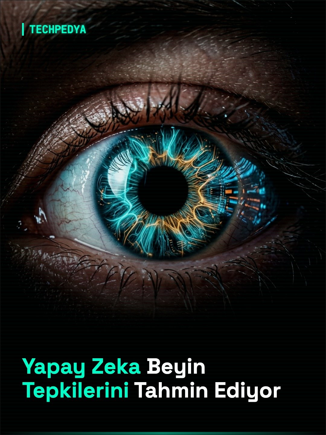 Yapay Zeka Beyin Tepkilerini Tahmin Ediyor