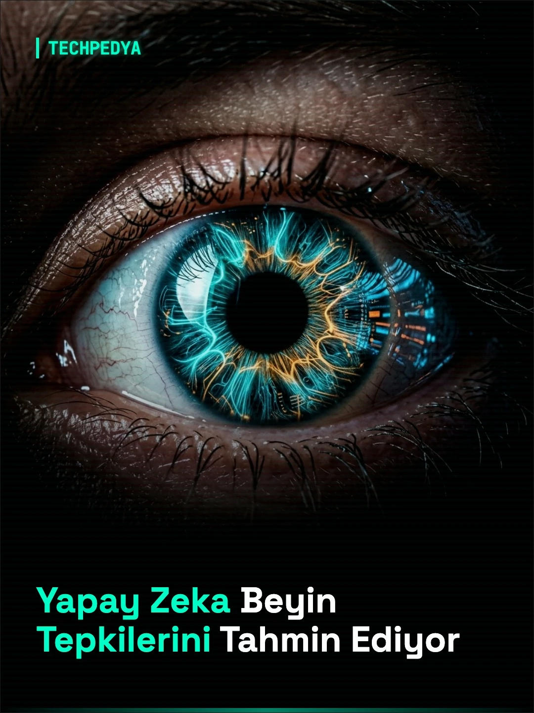 Yapay Zeka Beyin Tepkilerini Tahmin Ediyor