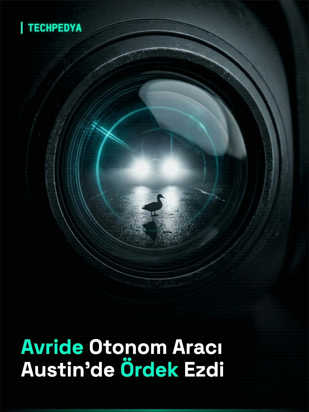Avride Otonom Aracı Austin'de Ördek Ezdi