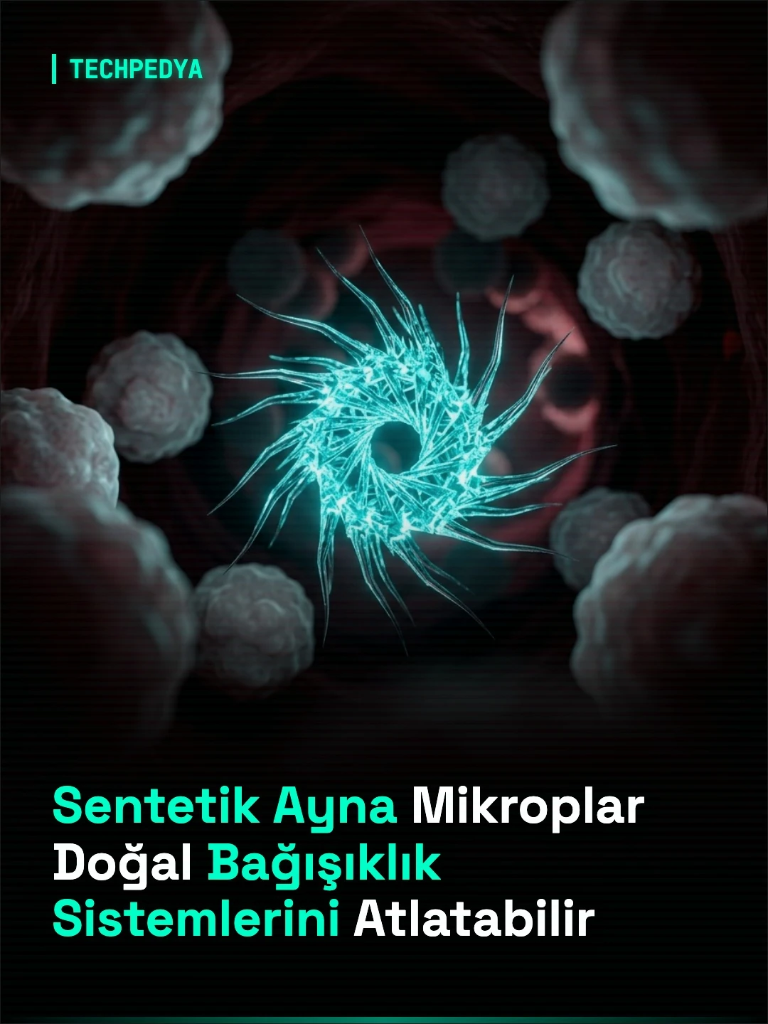 Sentetik Ayna Mikroplar Doğal Bağışıklık Sistemlerini Atlatabilir