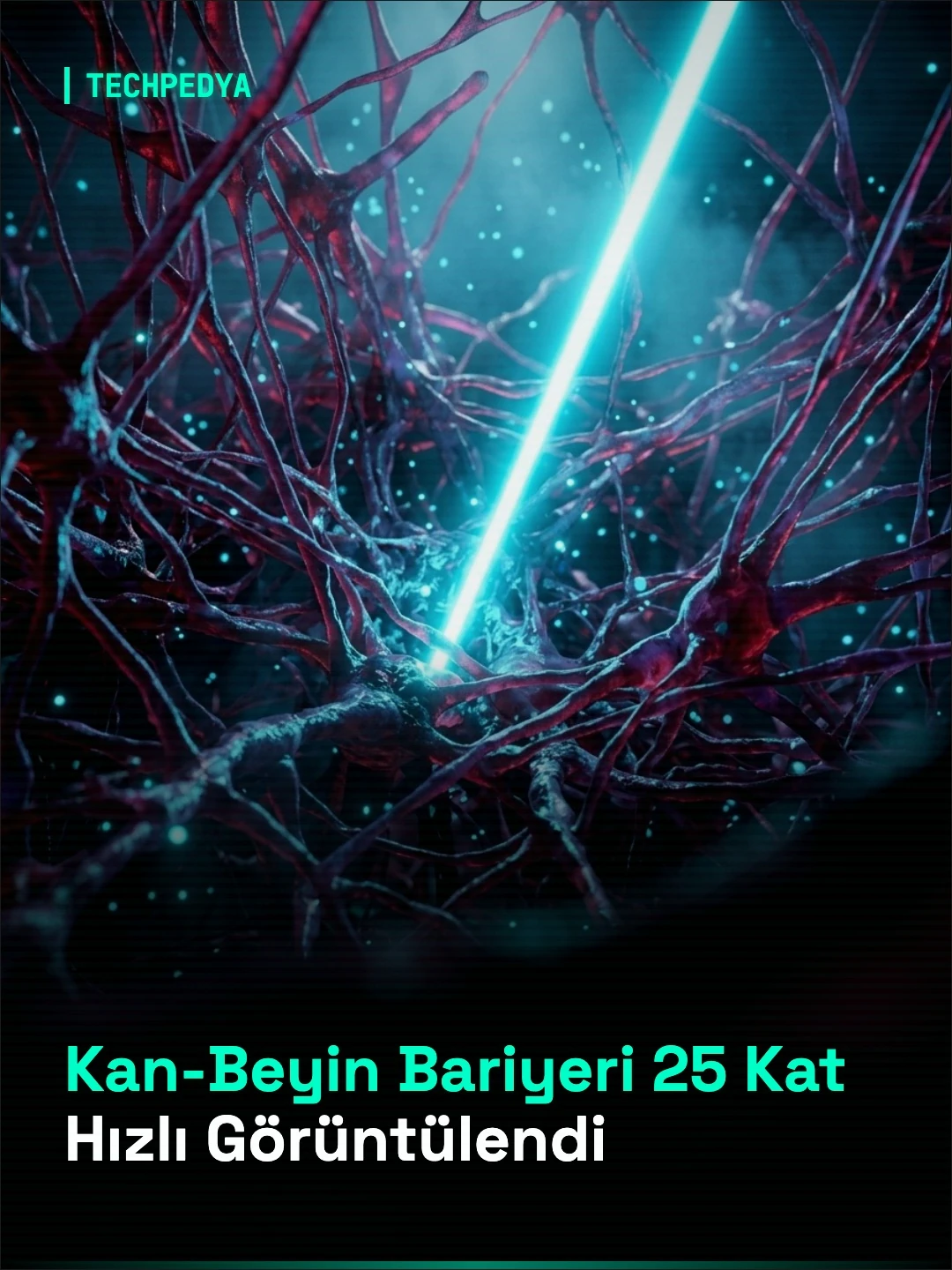 Kan-Beyin Bariyeri 25 Kat Hızlı Görüntülendi
