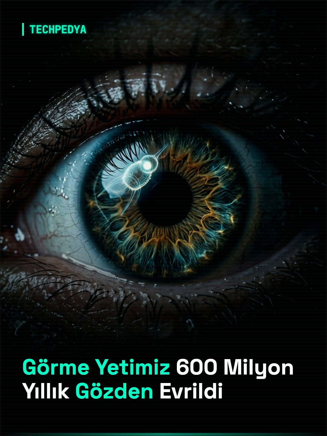 Görme Yetimiz 600 Milyon Yıllık Gözden Evrildi