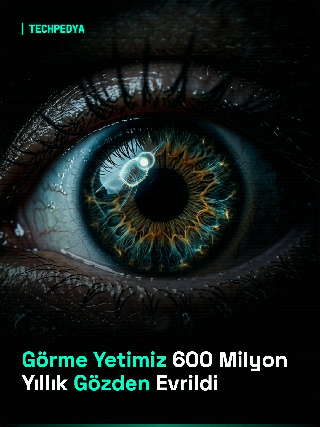 Görme Yetimiz 600 Milyon Yıllık Gözden Evrildi