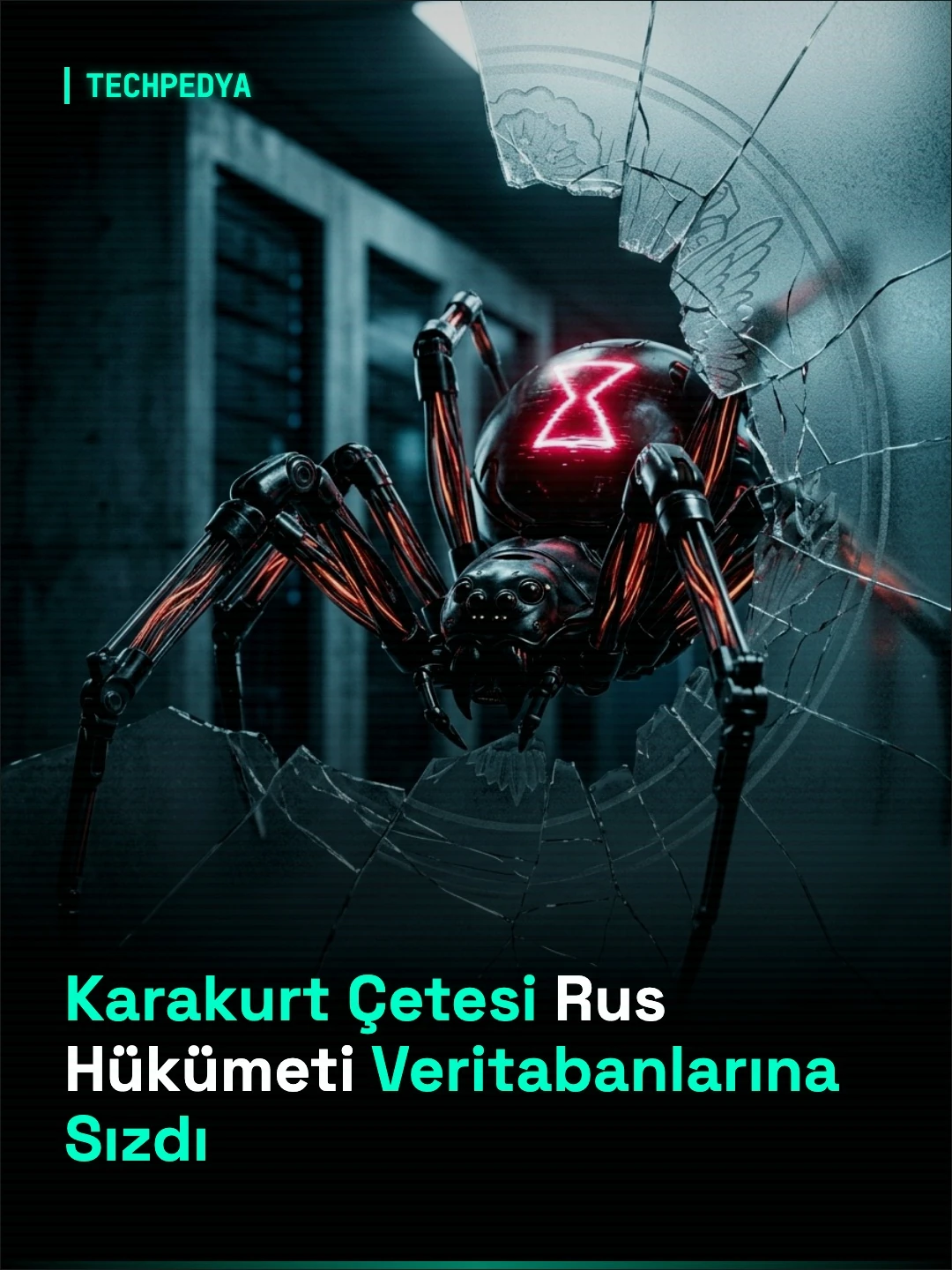 Karakurt Çetesi Rus Hükümeti Veritabanlarına Sızdı