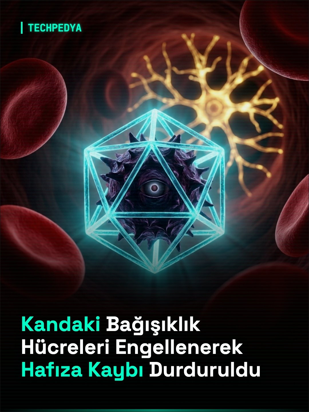 Kandaki Bağışıklık Hücreleri Engellenerek Hafıza Kaybı Durduruldu