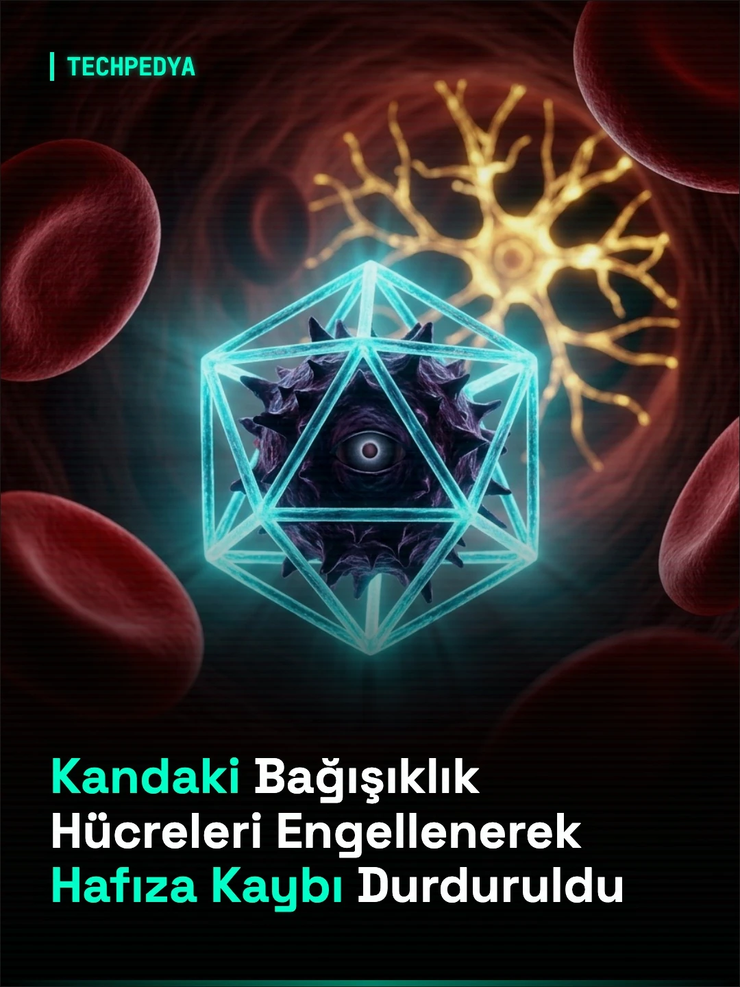 Kandaki Bağışıklık Hücreleri Engellenerek Hafıza Kaybı Durduruldu