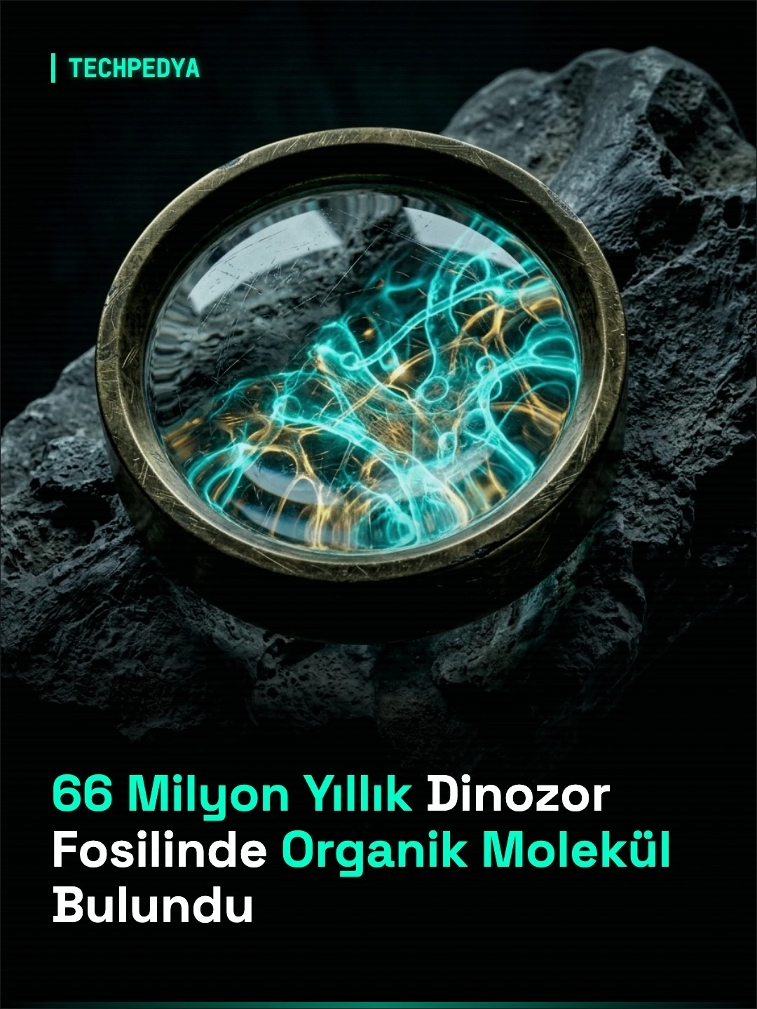 66 Milyon Yıllık Dinozor Fosilinde Organik Molekül Bulundu
