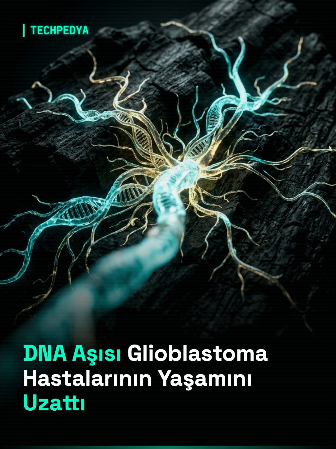 DNA Aşısı Glioblastoma Hastalarının Yaşamını Uzattı