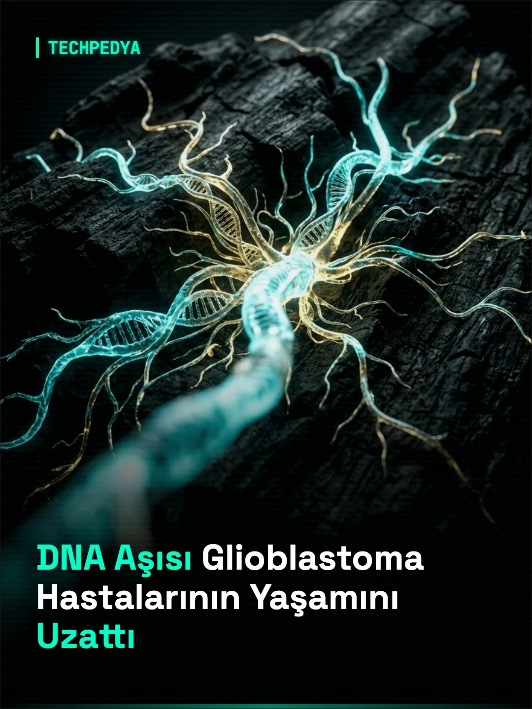 DNA Aşısı Glioblastoma Hastalarının Yaşamını Uzattı