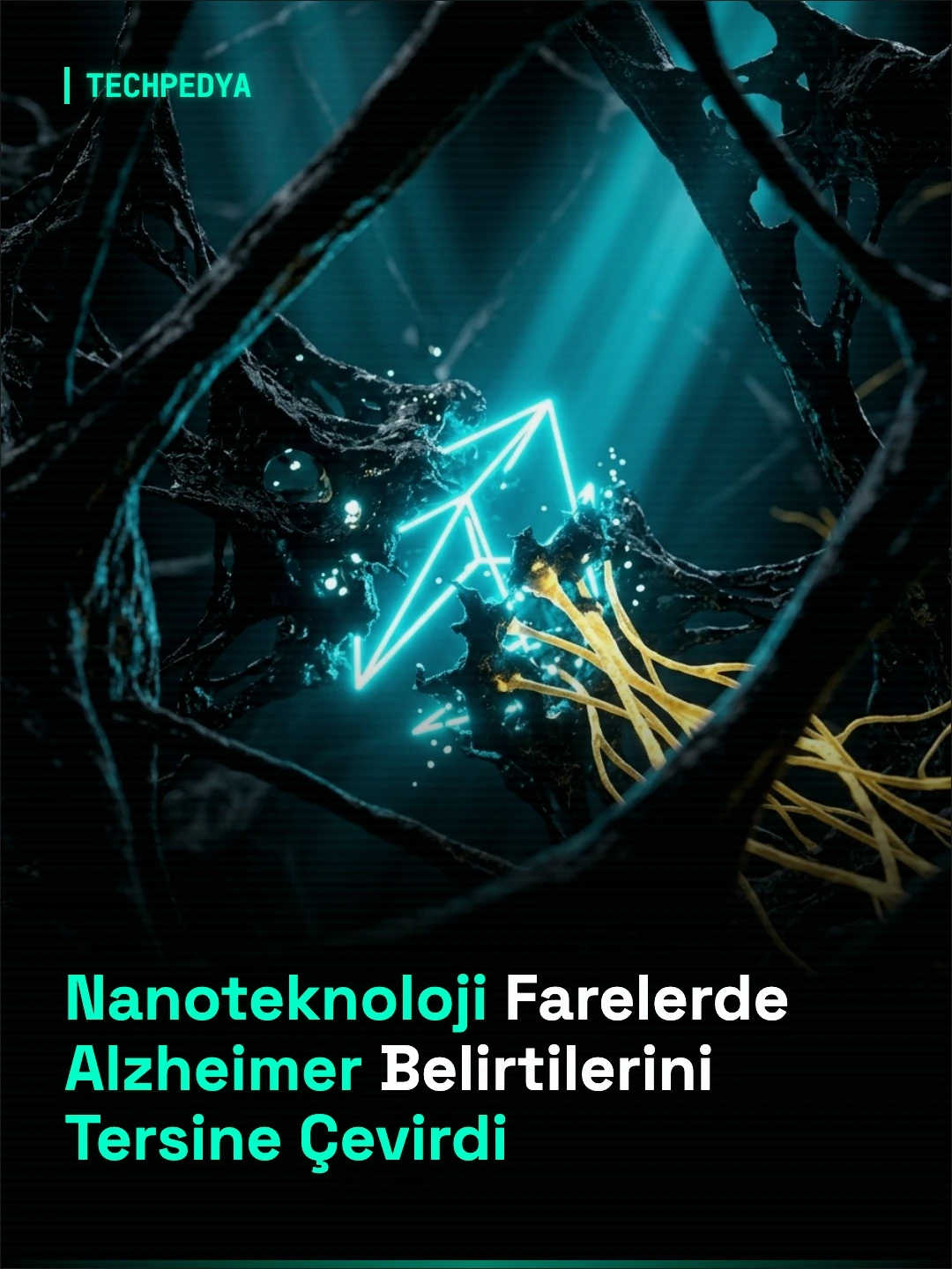 Nanoteknoloji Farelerde Alzheimer Belirtilerini Tersine Çevirdi