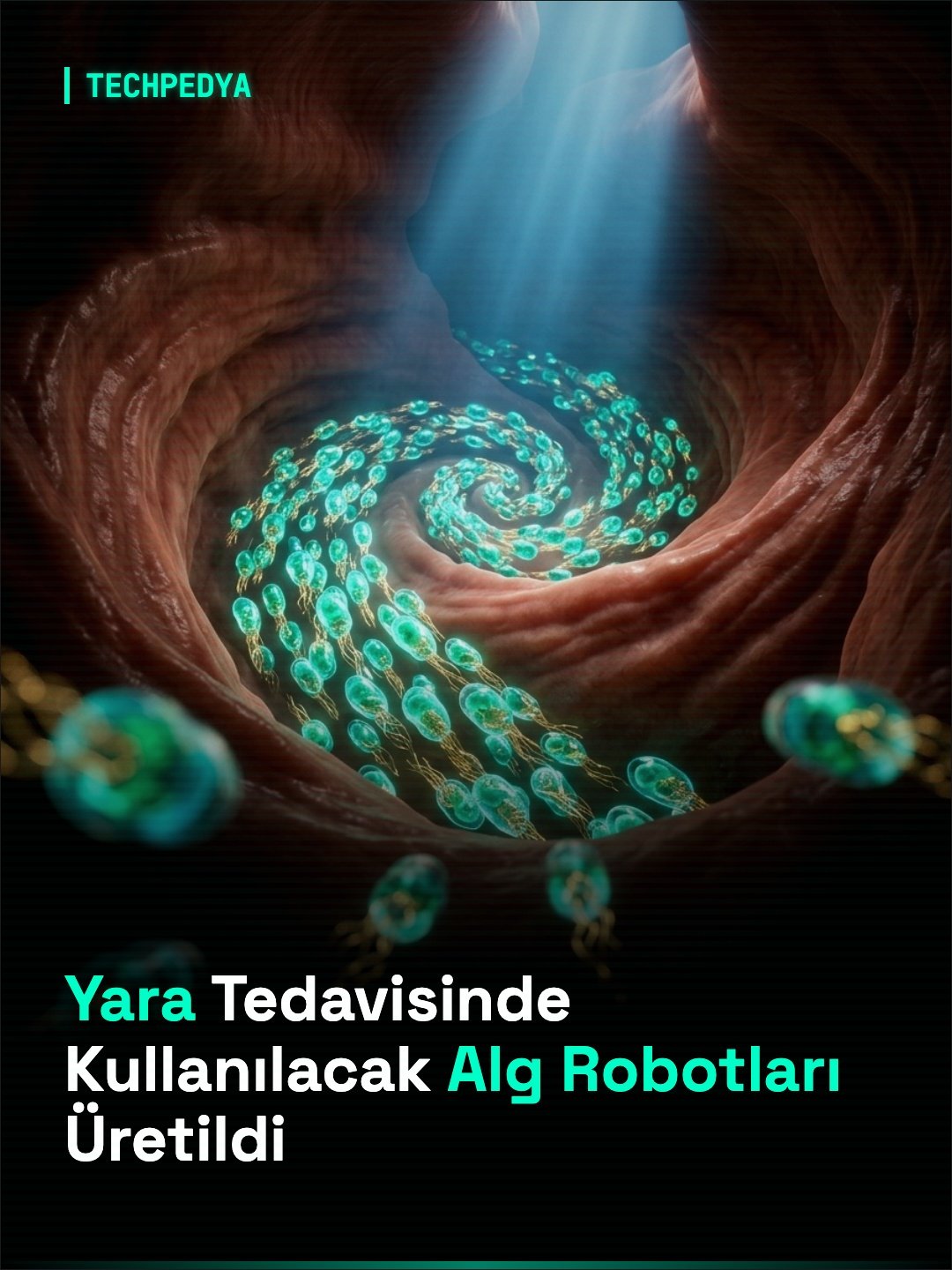 Yara Tedavisinde Kullanılacak Alg Robotları Üretildi