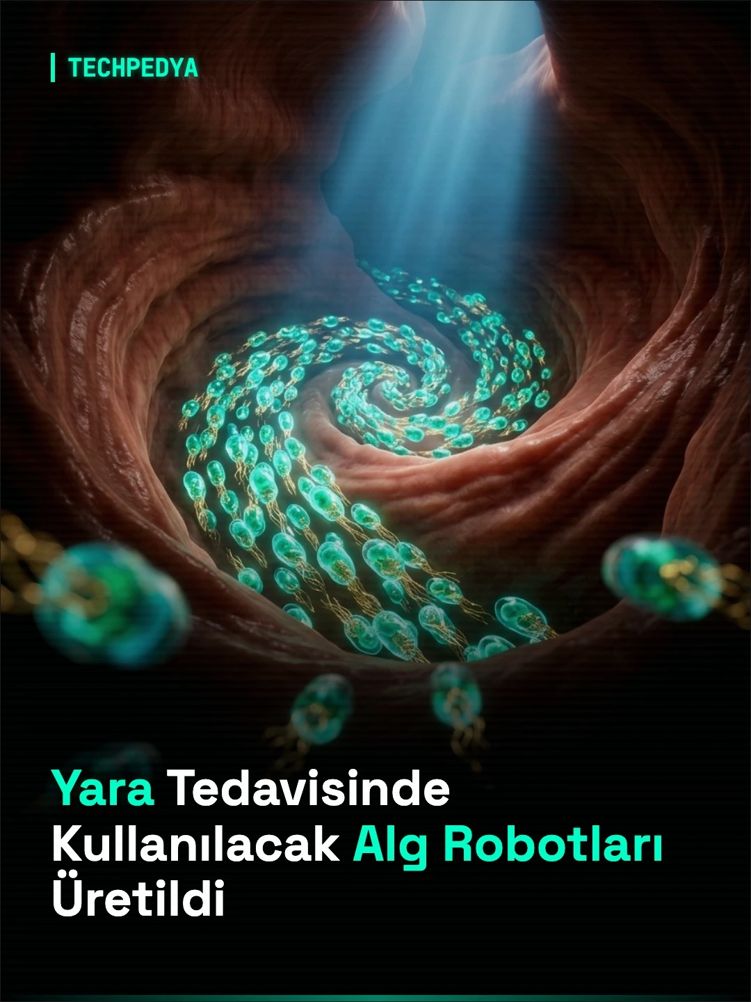 Yara Tedavisinde Kullanılacak Alg Robotları Üretildi