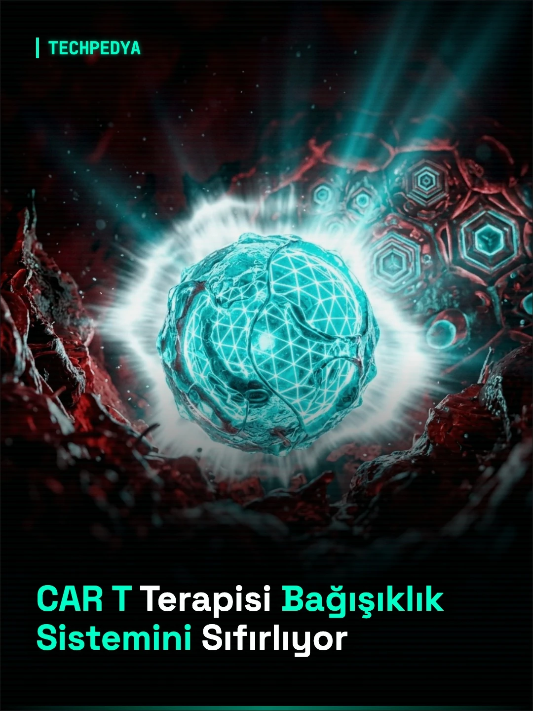 CAR T Terapisi Bağışıklık Sistemini Sıfırlıyor