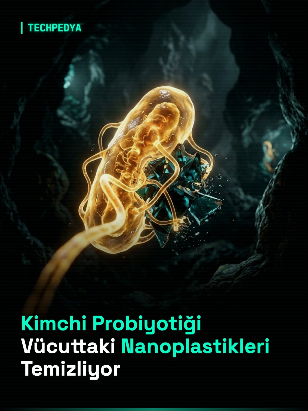 Kimchi Probiyotiği Vücuttaki Nanoplastikleri Temizliyor