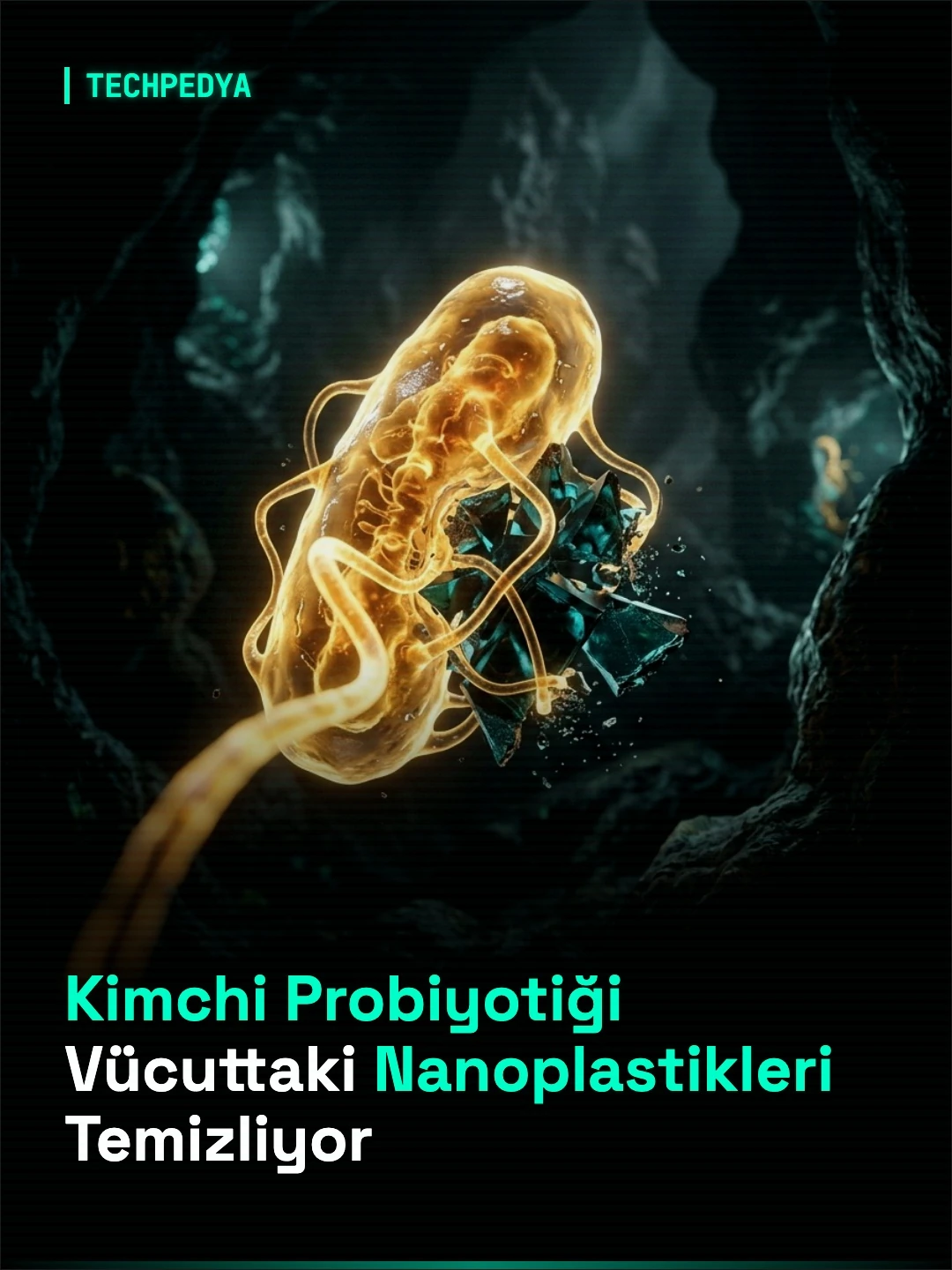Kimchi Probiyotiği Vücuttaki Nanoplastikleri Temizliyor