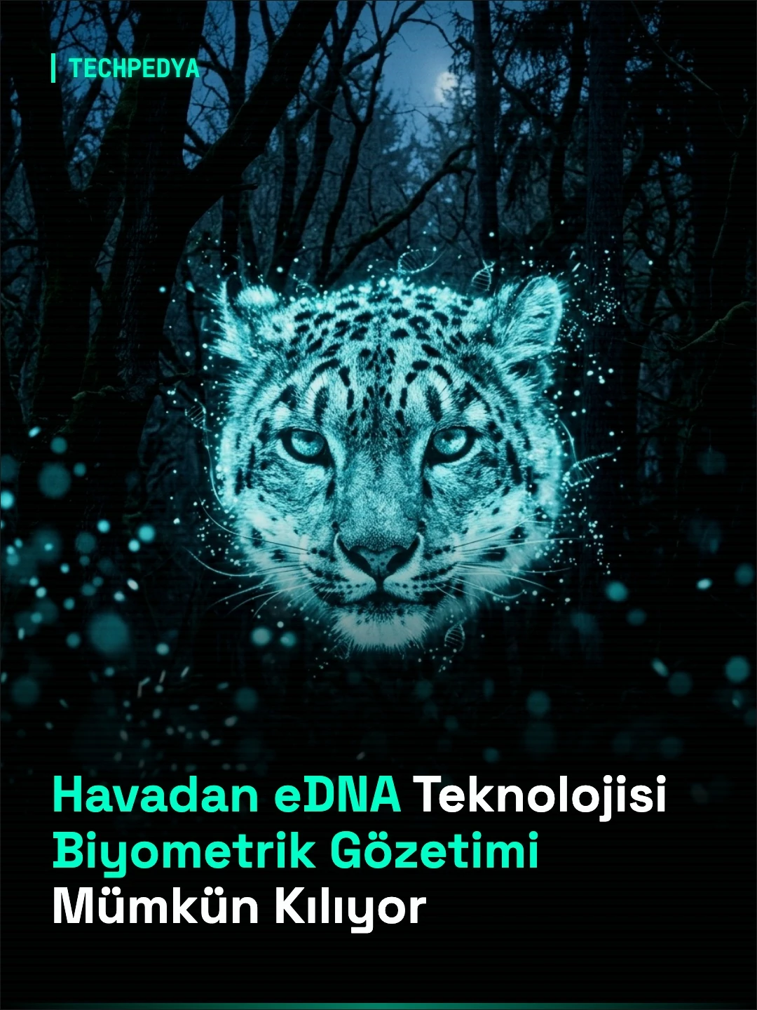 Havadan eDNA Teknolojisi Biyometrik Gözetimi Mümkün Kılıyor