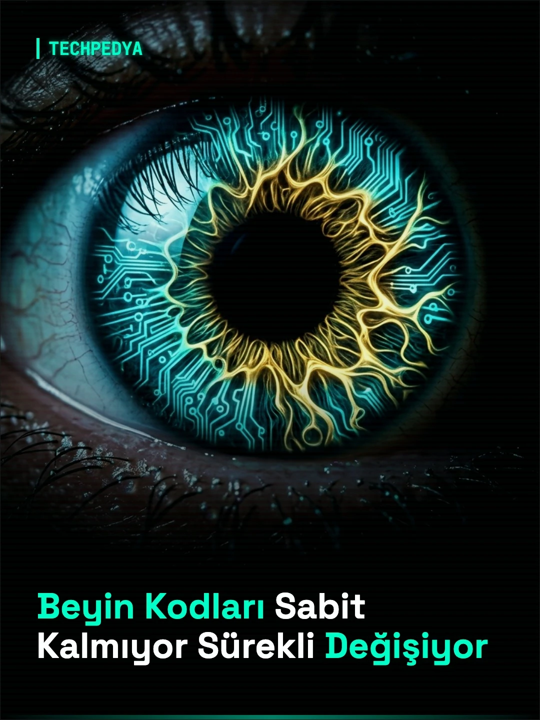 Beyin Kodları Sabit Kalmıyor Sürekli Değişiyor