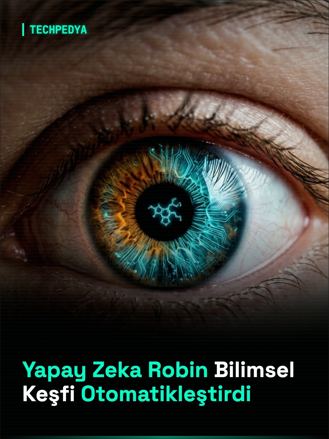 Yapay Zeka Robin Bilimsel Keşfi Otomatikleştirdi