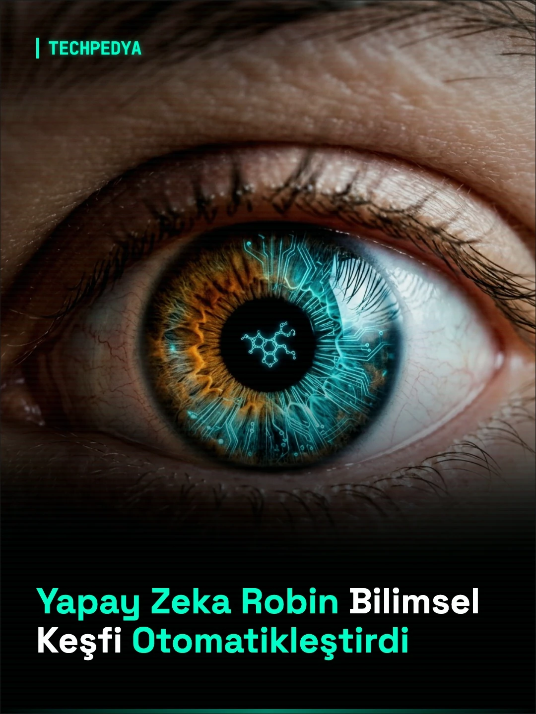 Yapay Zeka Robin Bilimsel Keşfi Otomatikleştirdi