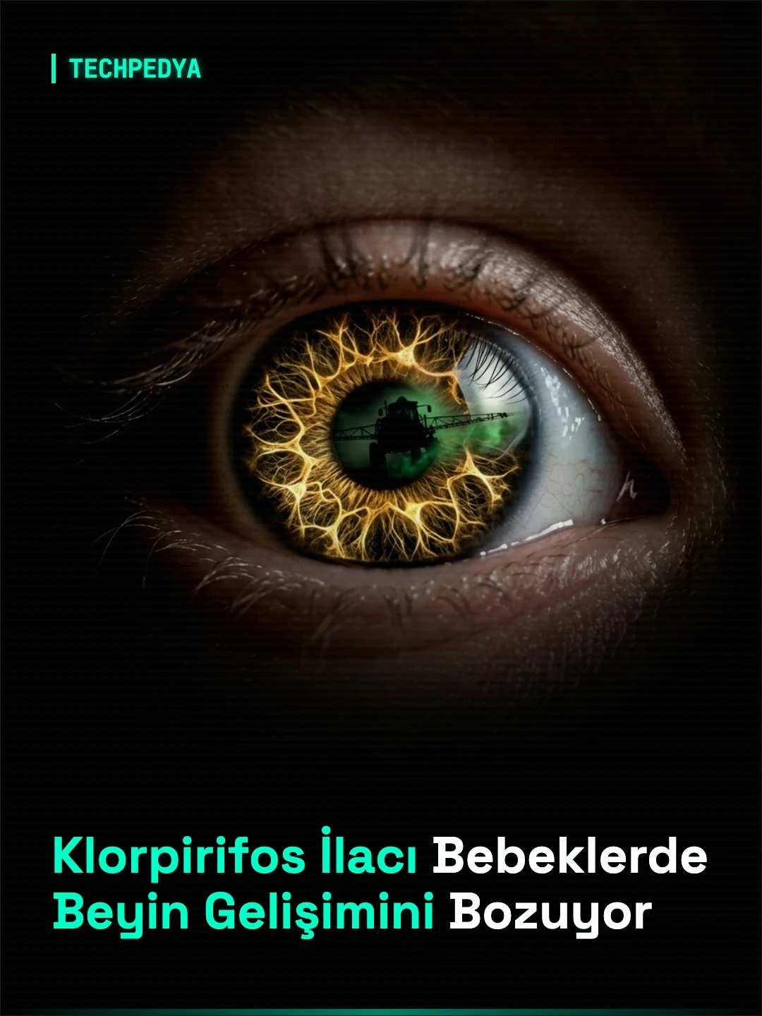 Klorpirifos İlacı Bebeklerde Beyin Gelişimini Bozuyor