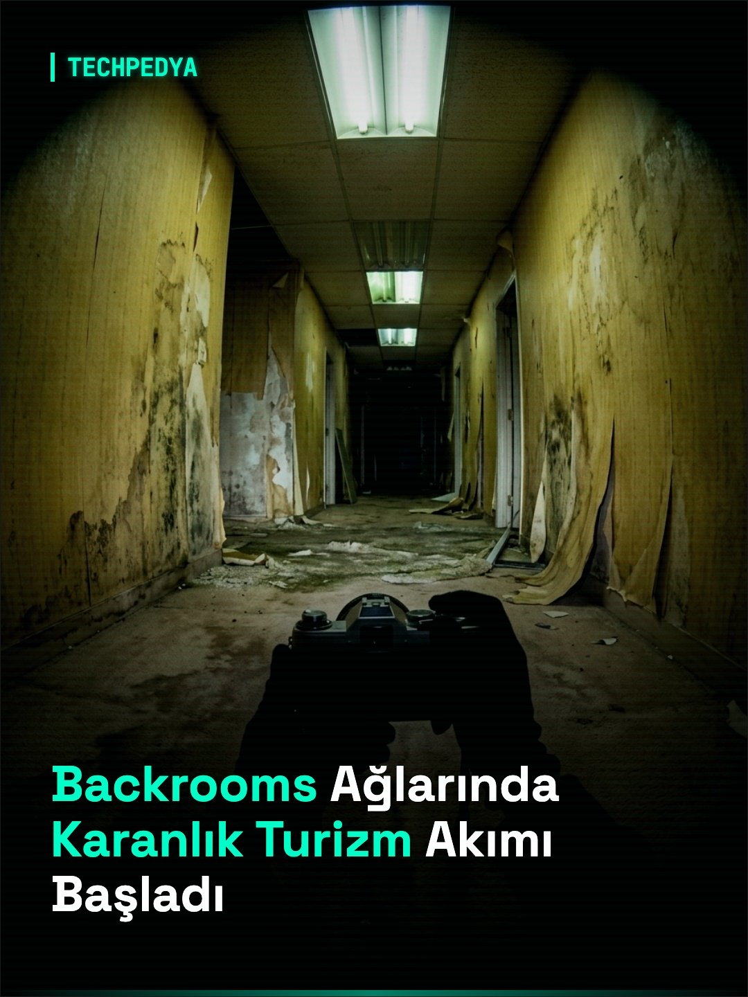 Backrooms Ağlarında Karanlık Turizm Akımı Başladı