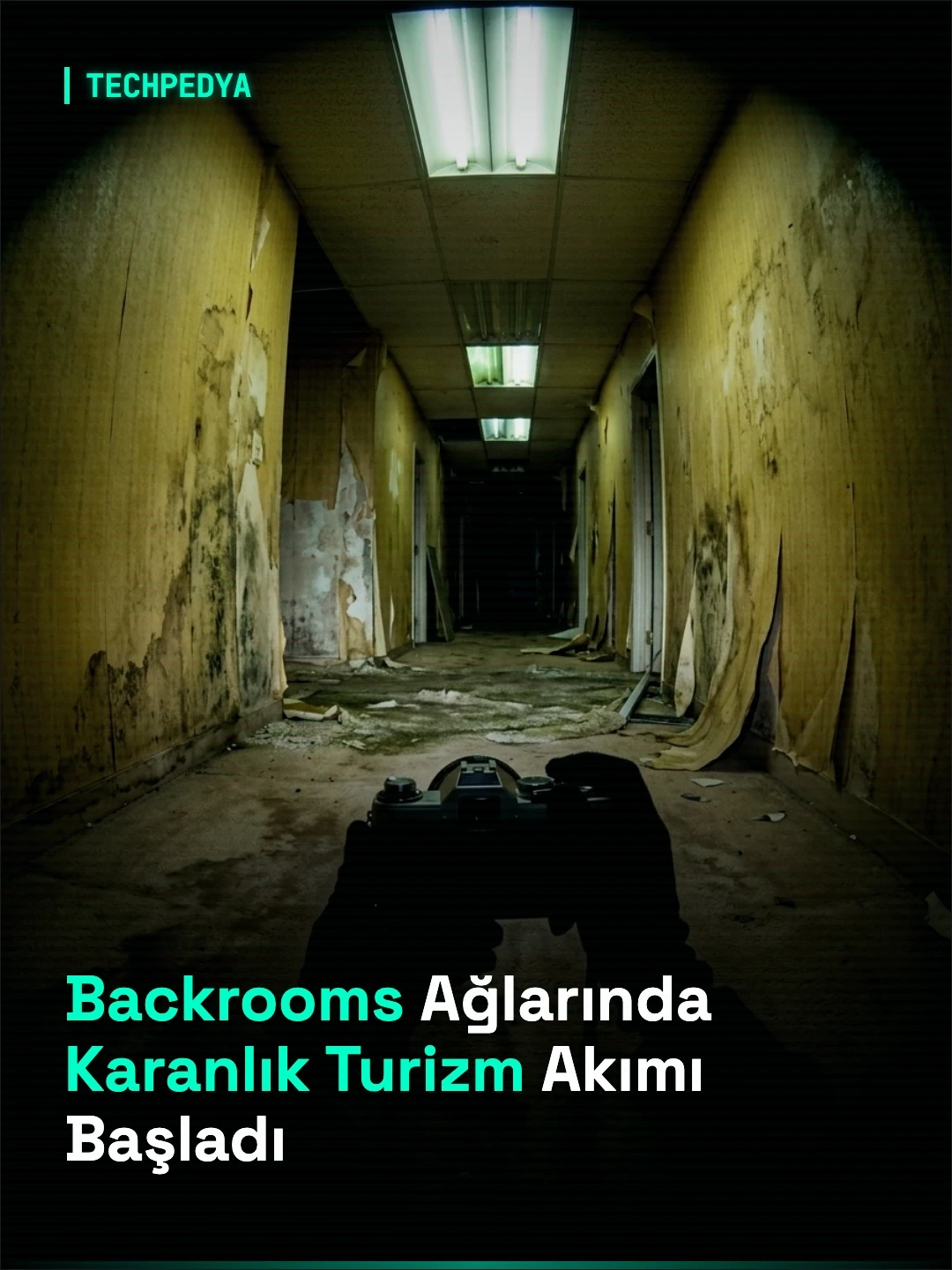 Backrooms Ağlarında Karanlık Turizm Akımı Başladı
