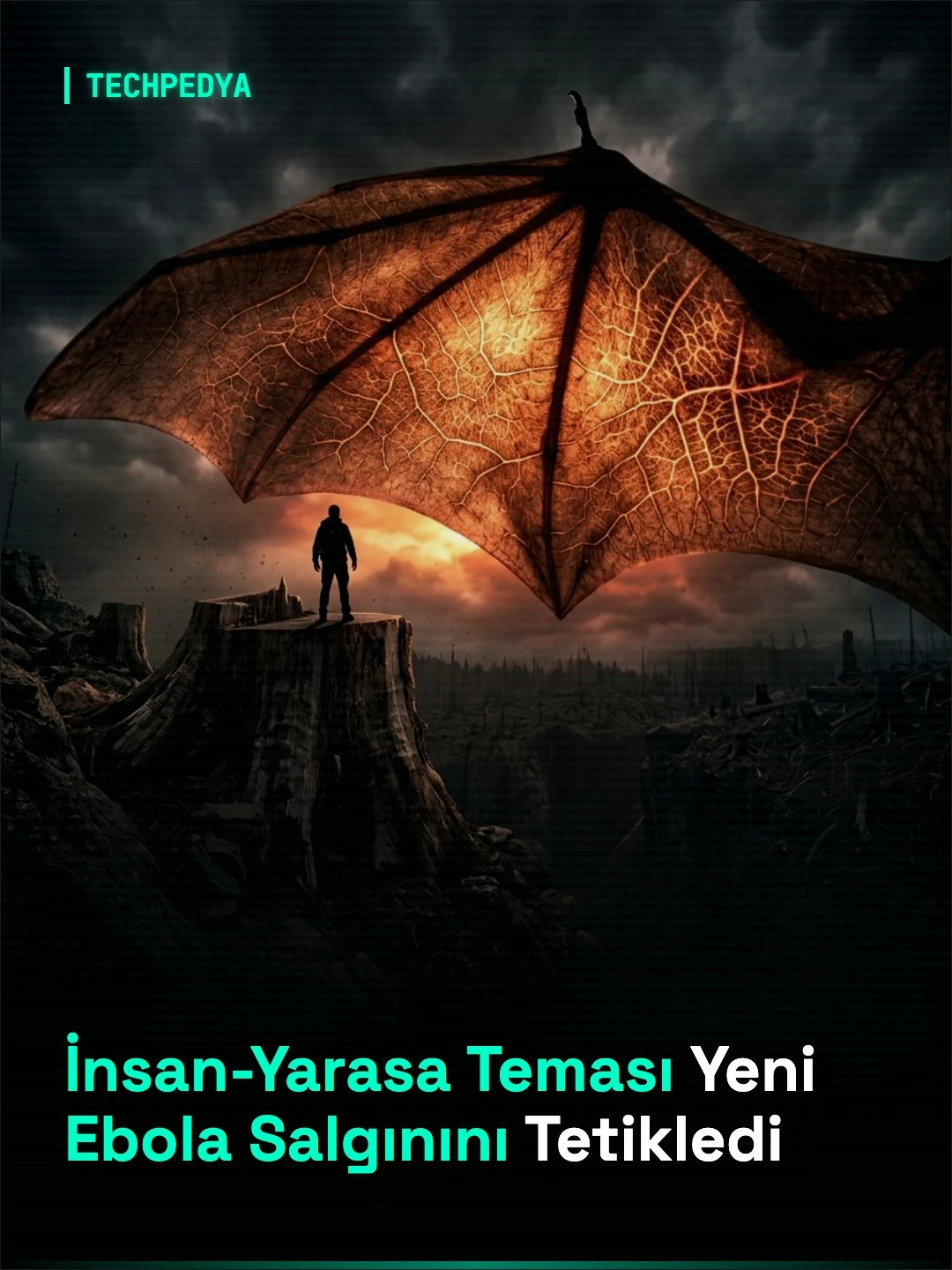 İnsan-Yarasa Teması Yeni Ebola Salgınını Tetikledi