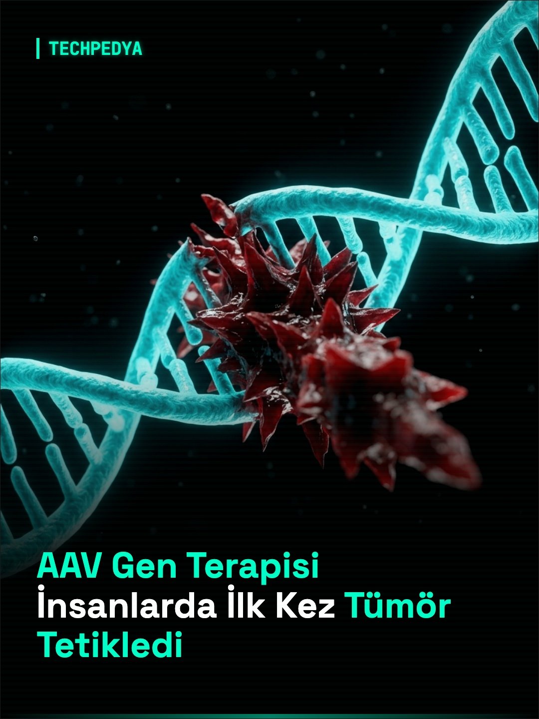AAV Gen Terapisi İnsanlarda İlk Kez Tümör Tetikledi