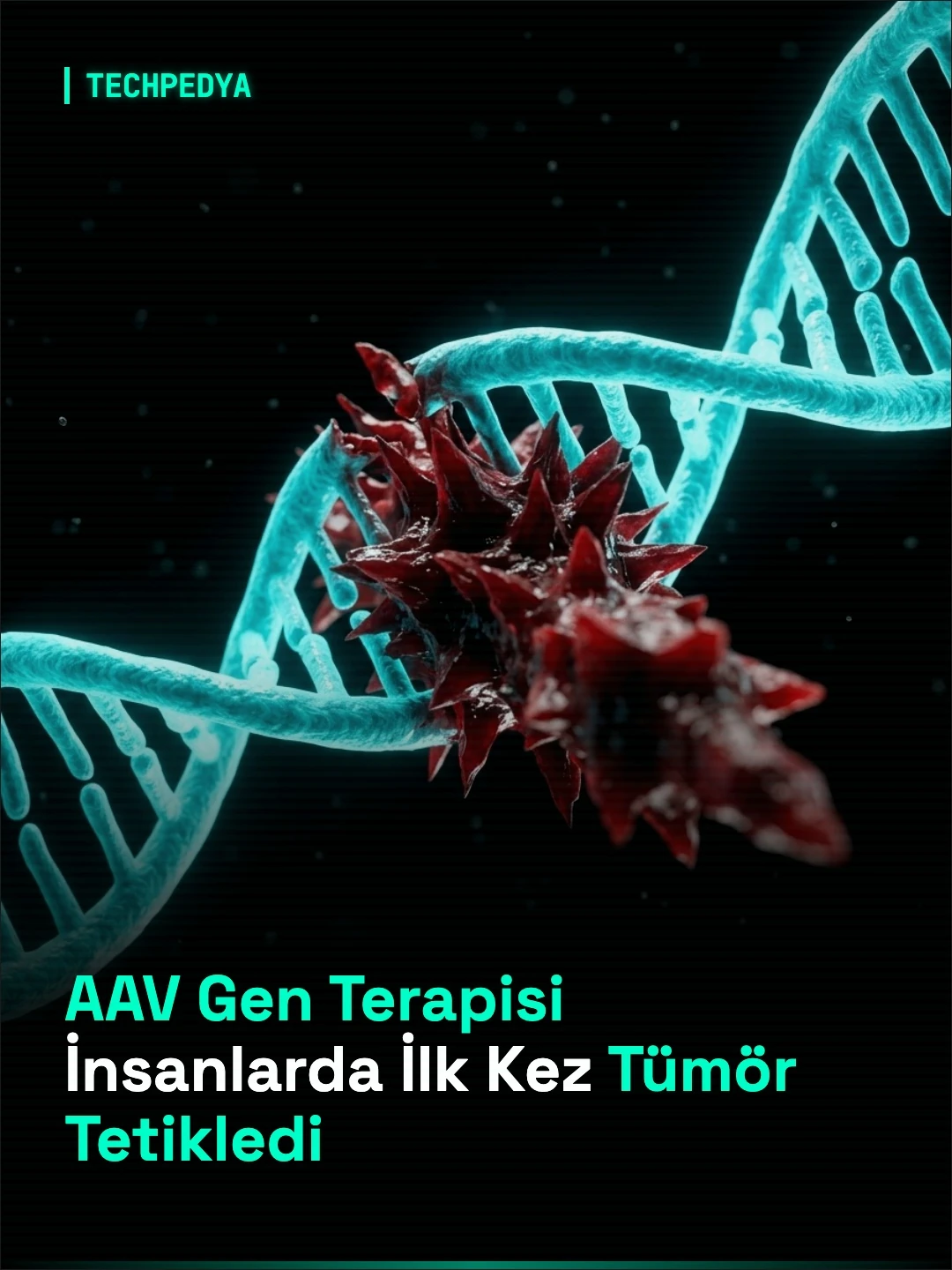 AAV Gen Terapisi İnsanlarda İlk Kez Tümör Tetikledi