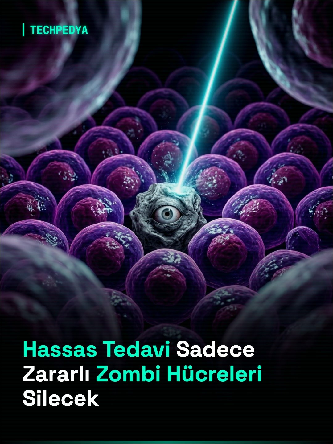 Hassas Tedavi Sadece Zararlı Zombi Hücreleri Silecek