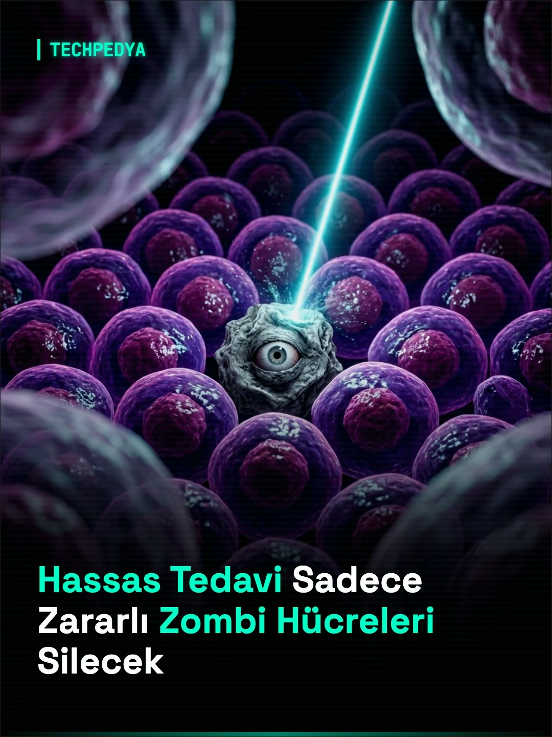 Hassas Tedavi Sadece Zararlı Zombi Hücreleri Silecek