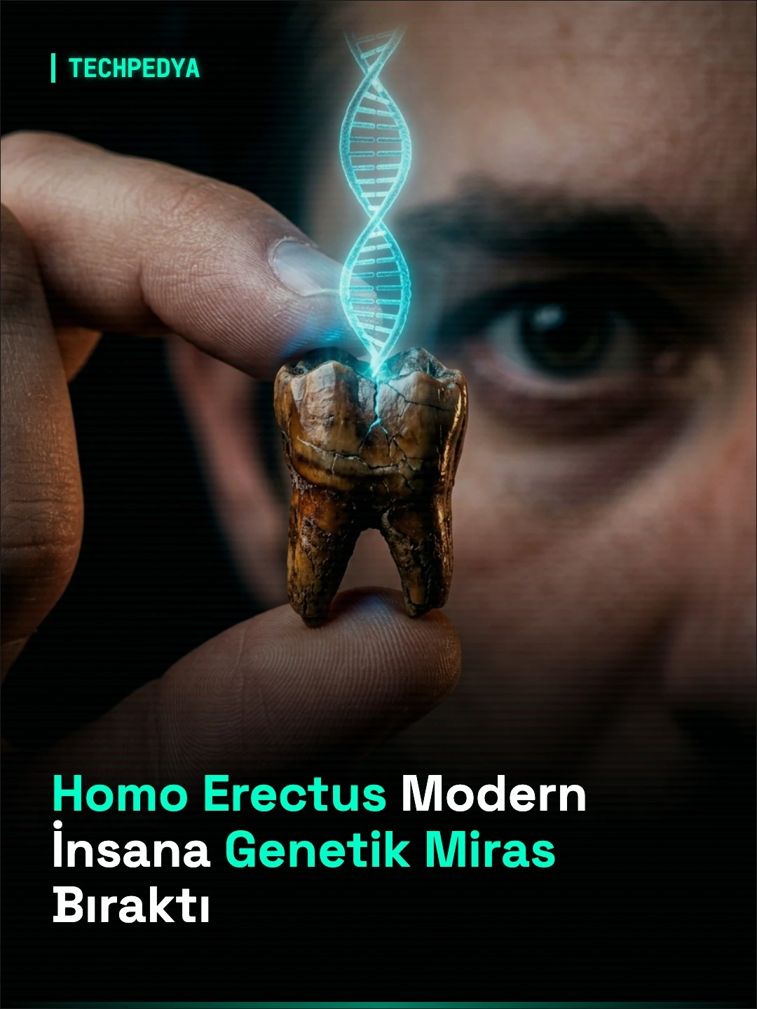 Homo Erectus Modern İnsana Genetik Miras Bıraktı