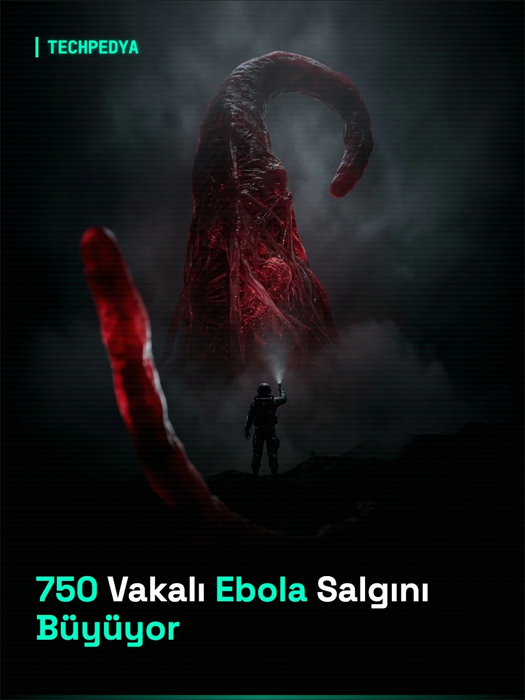 750 Vakalı Ebola Salgını Büyüyor