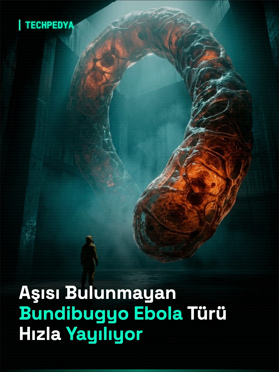 Aşısı Bulunmayan Bundibugyo Ebola Türü Hızla Yayılıyor