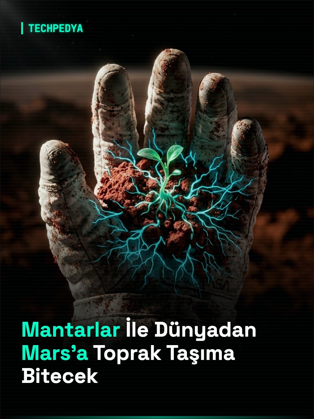 Mantarlar İle Dünyadan Mars'a Toprak Taşıma Bitecek