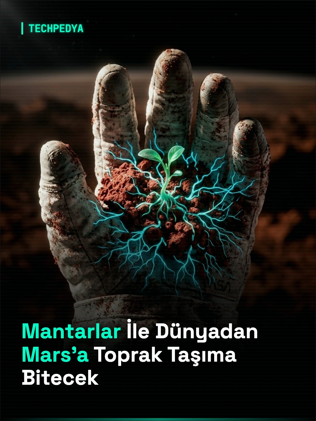 Mantarlar İle Dünyadan Mars'a Toprak Taşıma Bitecek