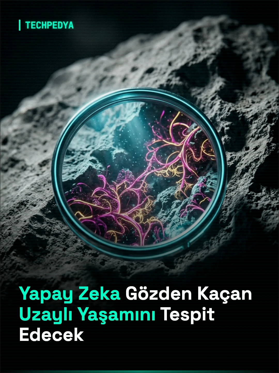 Yapay Zeka Gözden Kaçan Uzaylı Yaşamını Tespit Edecek